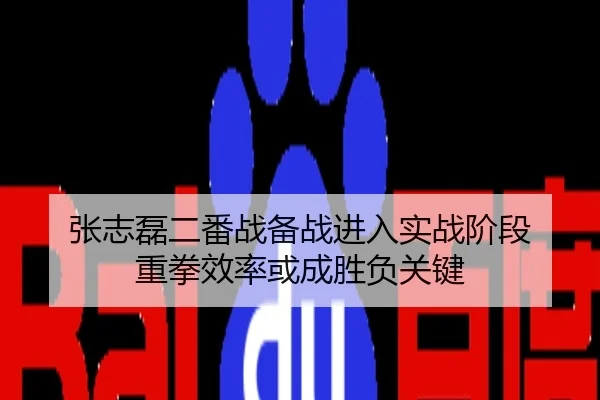 张志磊二番战备战进入实战阶段 重拳效率或成胜负关键