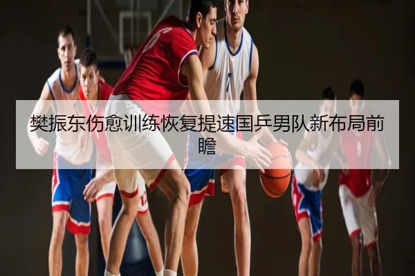 樊振东伤愈训练恢复提速国乒男队新布局前瞻 | aqy